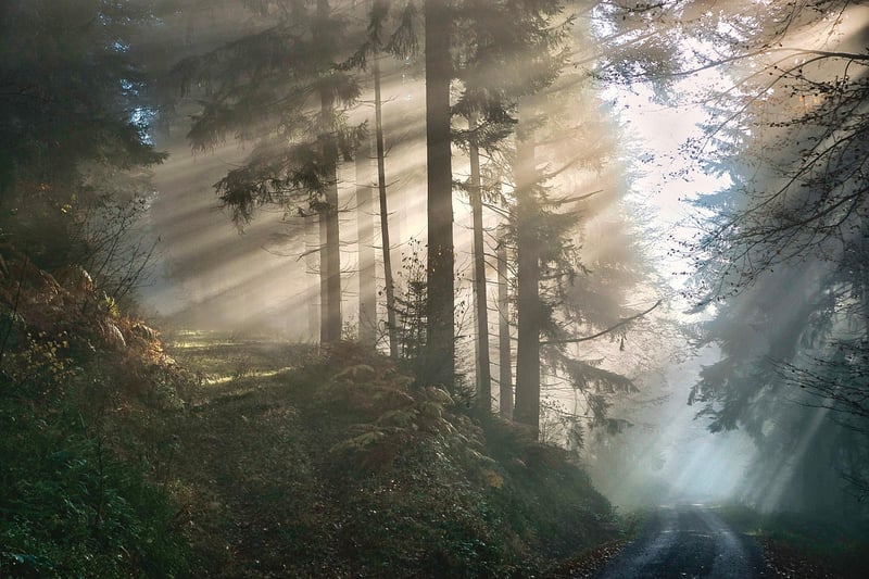 Mystical Origins