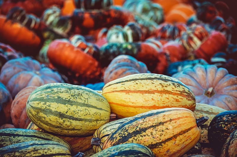 Seasonal Bounty